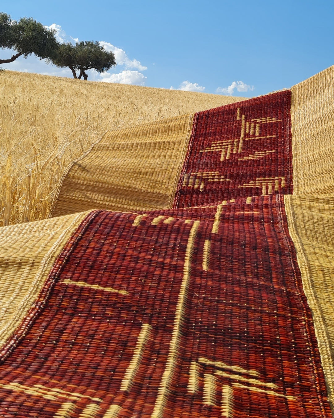 Rug NEBETTI 3